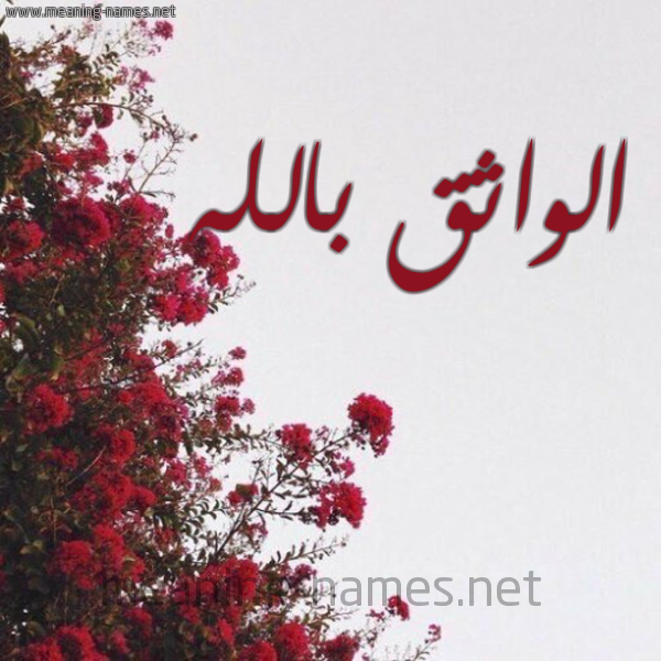 شكل 18 صوره الورد الأحمر للإسم بخط رقعة صورة اسم الواثق بالله Al-Wathq-Ballh